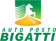 auto-posto-bigatti-logo